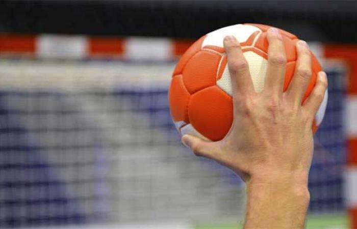 2025 World Handball Championship: Complete program of Saturday matches