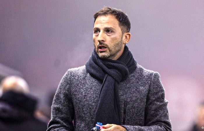 The Belgian Football Association makes the decision and fires Domenico Tedesco: “End of a beautiful story”