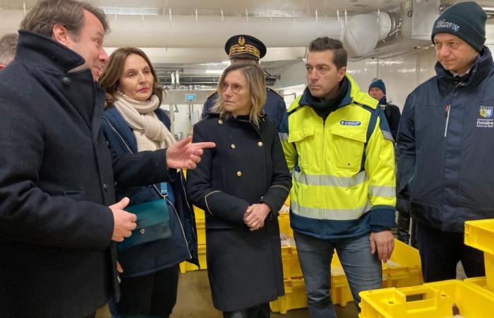 Closure of the Bay of Biscay, Brexit crisis, drop in tonnage. Agnès Pannier-Runacher tries to reassure fishermen in Finistère