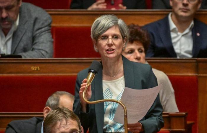 Legislative elections 2022: environmentalist MP Sandrine Rousseau heard as a suspect in the investigation into her domicile in Paris: News