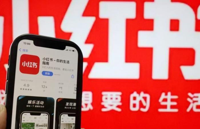 What is RedNote, the Chinese application that was a hit in the United States before a possible ban on TikTok?