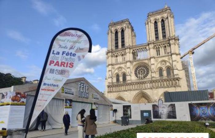 The 2025 Bread Festival in Paris: artisan bakers return to the Notre-Dame square