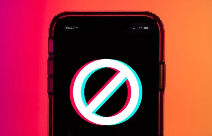 Ban on TikTok in the United States: what lessons for the French Creator Economy?