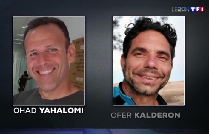 two French people among the hostages to be freed