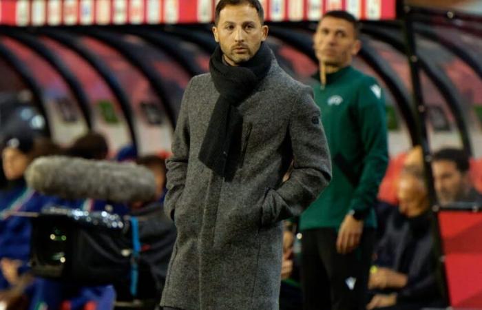 Soccer. Far from expectations, Belgium coach Domenico Tedesco sacked