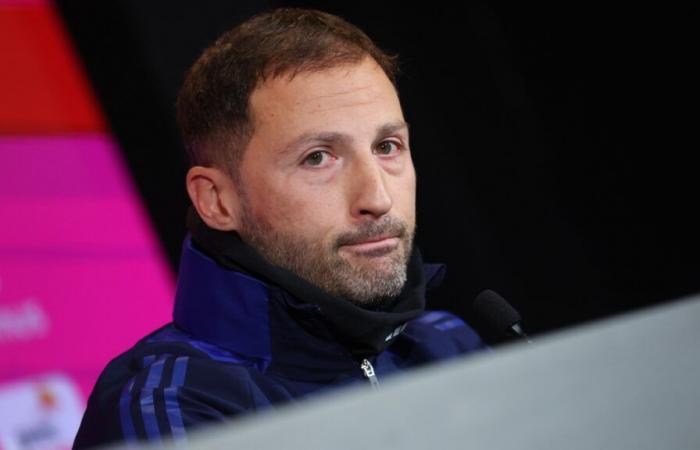 Promising beginnings, the Courtois affair, but above all failures: look back at the Domenico Tedesco era at the head of the Red Devils