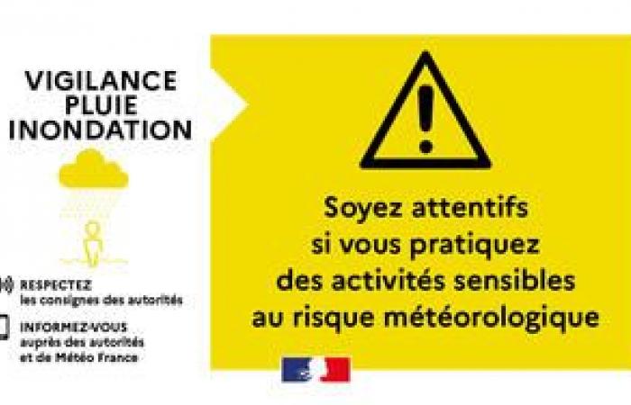 Yellow Warning SMS rain floods from 01/18 at 6 p.m. to 01/19 at 6 p.m. – Weather vigilance – Natural risks – Risk prevention – Ecological transition, environment and risk prevention – State actions