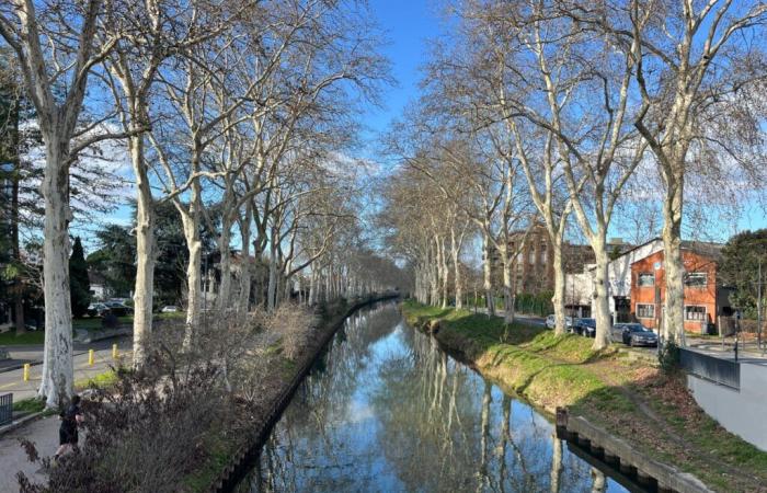 Météo France predicts the return of the sun to Toulouse and Occitanie this Friday