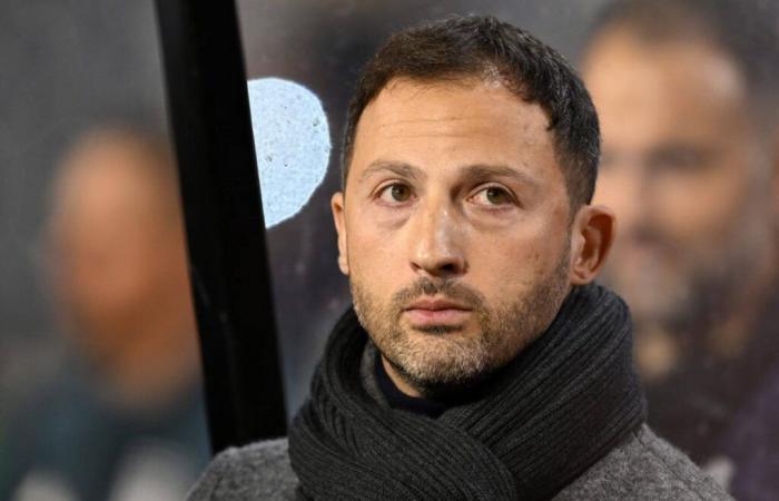 Domenico Tedesco leaves position as Belgium head coach