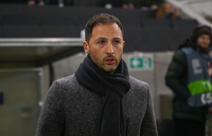 La Belgique limoge Domenico Tedesco