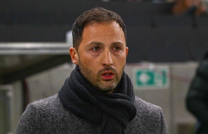 Domenico Tedesco is no longer the Belgium coach! (official)