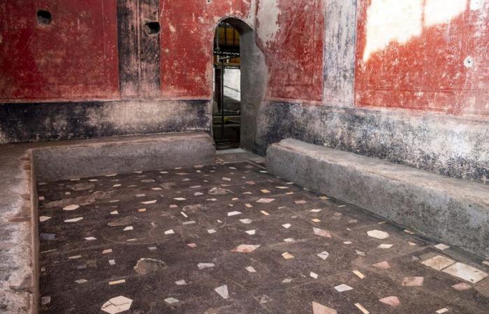 Discovery of a thermal complex in a villa in Pompeii