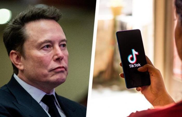 Could Elon Musk really buy TikTok in the United States to avoid its ban?