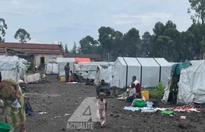 North Kivu: more than 100 new cases of HIV/AIDS identified among displaced people around Goma