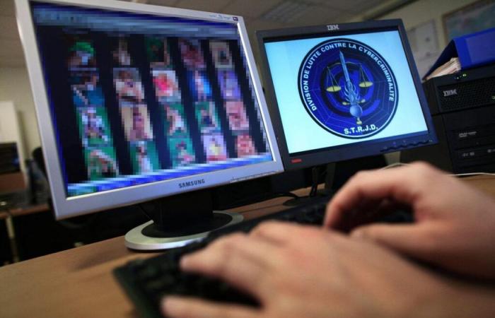 a Lot-et-Garonnais convicted of downloading and distributing nearly 2,000 child pornography files