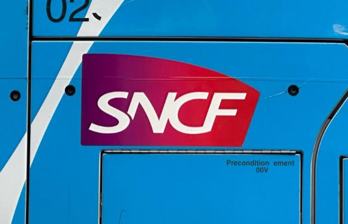 SNCF: shock on a TGV, traffic interrupted between Lyon and Saint-André-le-Gaz