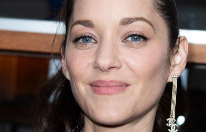 Marion Cotillard and Mylène Farmer devastated: in their clan, a terrible disappearance