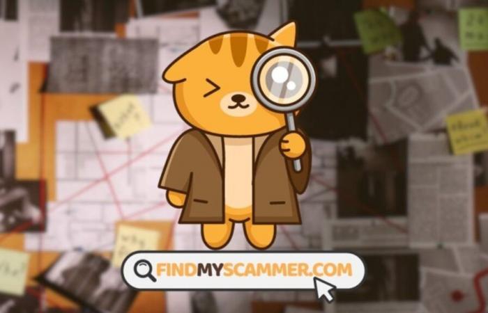 Victim of an online scam? FindMyScammer helps you!