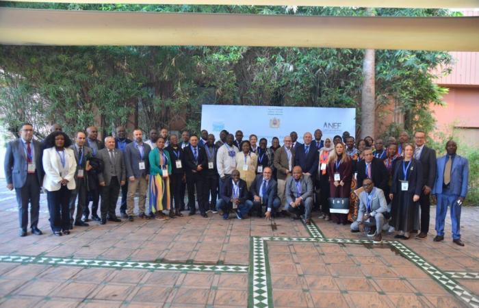 Delegates from 40 African countries in preparation for the 15th Conference of the Parties to the Ramsar Convention on Wetlands