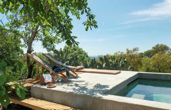 Contemporary houses overlooking a natural park in Portugal