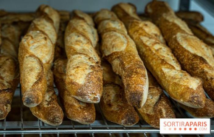 The 2025 Bread Festival in Paris: artisan bakers return to the Notre-Dame square