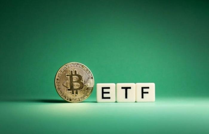 Bitcoin ETFs outperform in their first year, but Solana and XRP ETFs face challenges, expert says