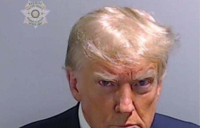 Trump’s official portrait compared to… his legal photo