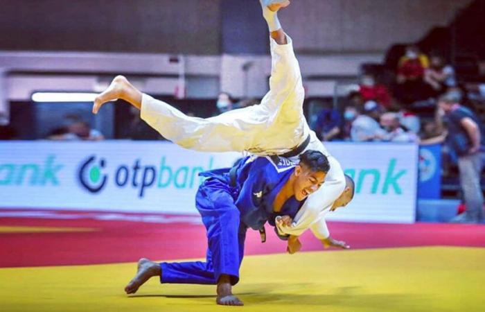 the Moroccan junior selection wins 29 medals