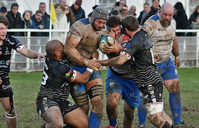 Amateur rugby – Federal 1: “An eight-point match!” AS Layrac is squarely up against the wall before welcoming Lourdes