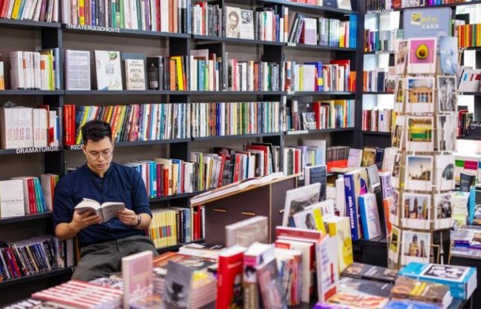 BOOK SALES DECLINE IN 2024