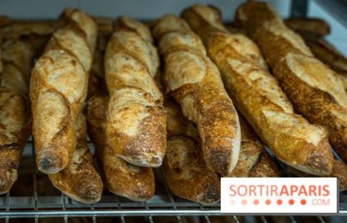 The 2025 Bread Festival in Paris: artisan bakers return to the Notre-Dame square