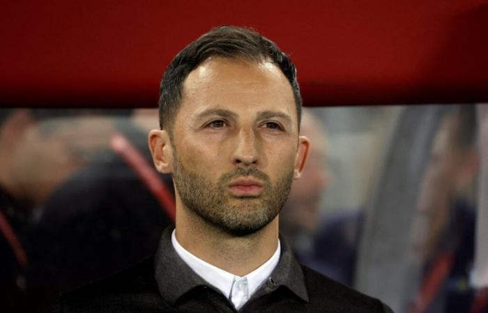 Football: Belgium part ways with Domenico Tedesco