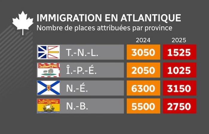 Decline in immigration: a “devastating” impact to be expected for businesses