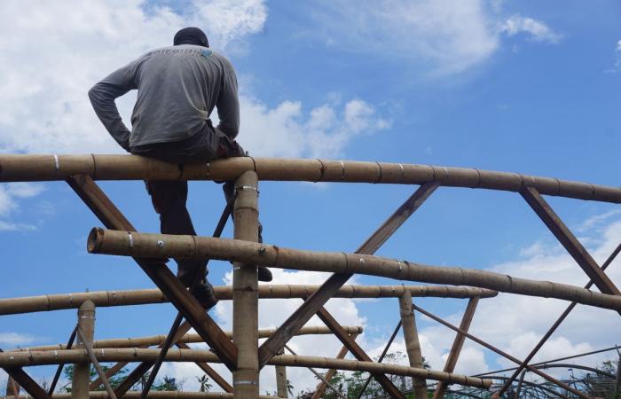 In Mayotte devastated by the cyclone, “farmers have lost everything”