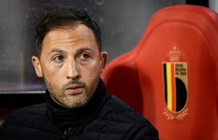 Belgium dismisses its coach Domenico Tedesco (federation)