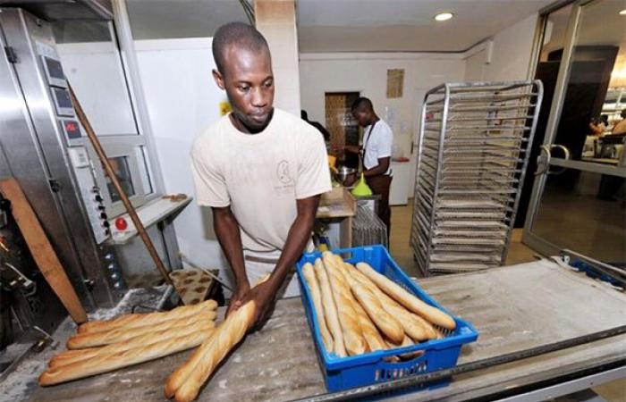 Difficulties in the sector: Bakers in trouble – Lequotidien