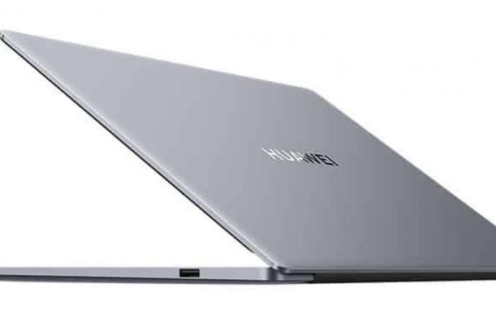 Huawei MateBook D 14 2024, Ultrabook 14″ 16/10 Silver nomadic 8 hours easy to carry under high-performance Intel Core i5-13420H – LaptopSpirit