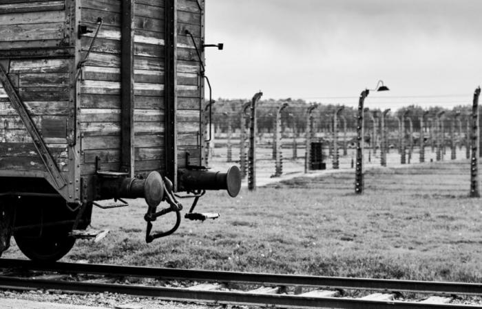 Deportations of 25,000 Jews and Gypsies to death camps: SNCB called to “apologize”