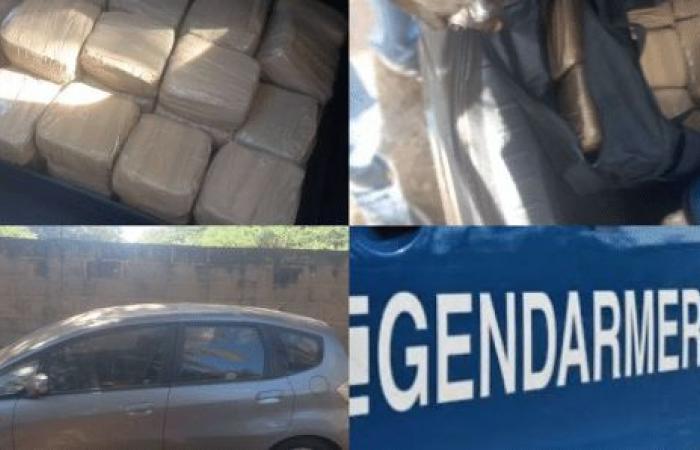 Saly: 100 kg of hashish worth 120 million CFA francs seized, investigation opened