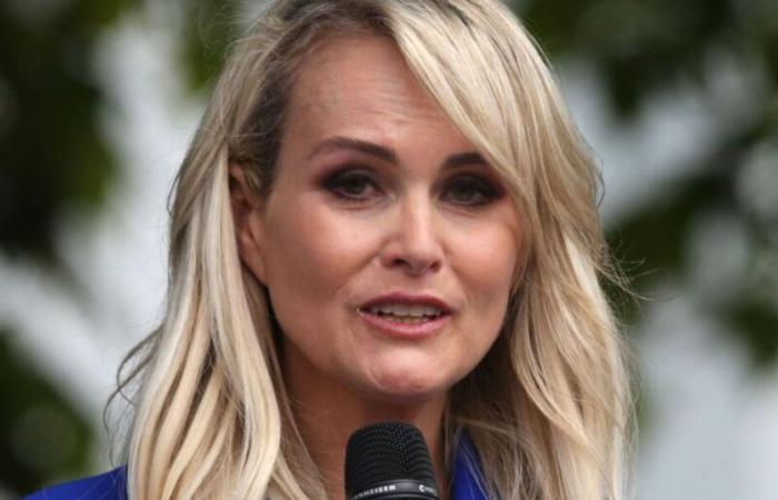 Will Laeticia Hallyday return to Marnes-la-Coquette? This request from his loved ones after the destruction of his villa by the fires in Los Angeles