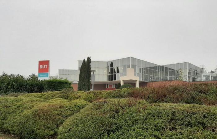 in Seine-et-Marne, a voluntary departure plan at the But and Conforama headquarters