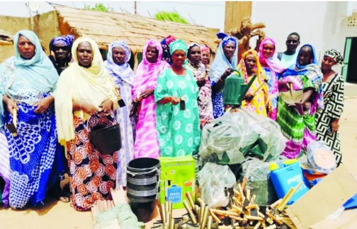 Market gardening, a blessed activity in Ndioum Walo