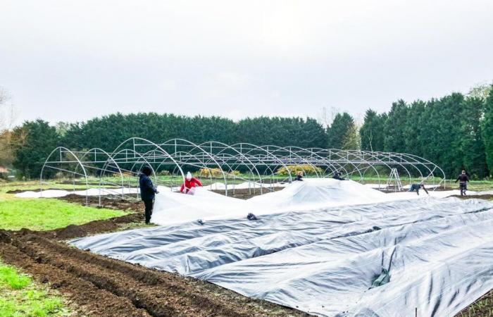 A #nice pick-your-own market gardening project on the heights of Liège