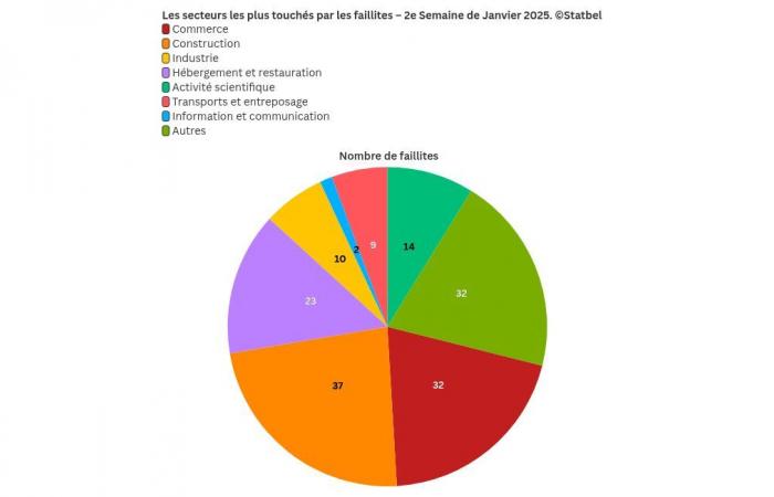 159 bankruptcies in Belgium in one week: which sector is most affected?