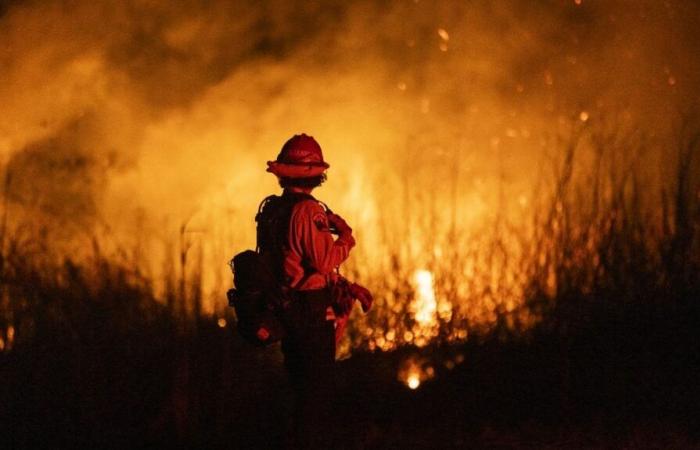 TRUE OR FALSE. Bad management, budget cuts, looting… We verified six claims about the Los Angeles fires