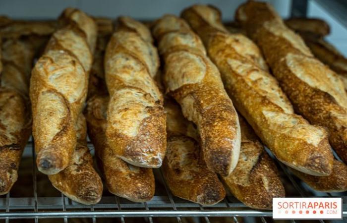 The 2025 Bread Festival in Paris: artisan bakers return to the Notre-Dame square