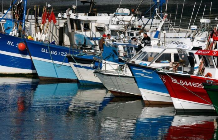 British trawler attacks French fishing boat in North Sea