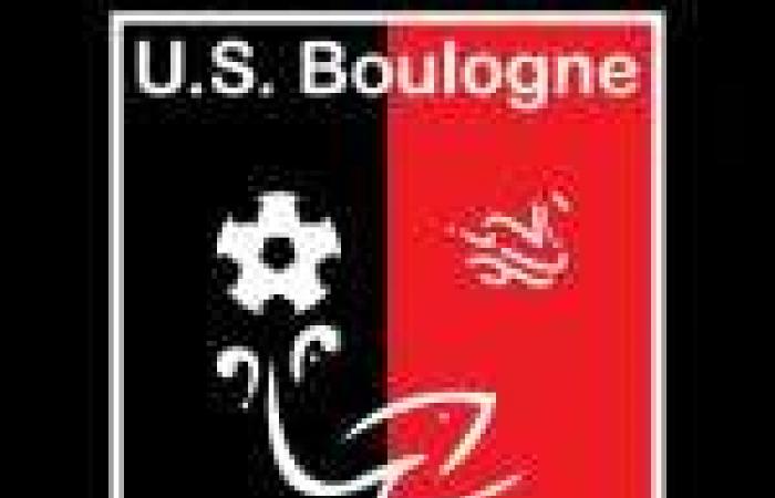 Boulogne and Orléans miss first place in National, Paris breathes – National – J17 – Summary