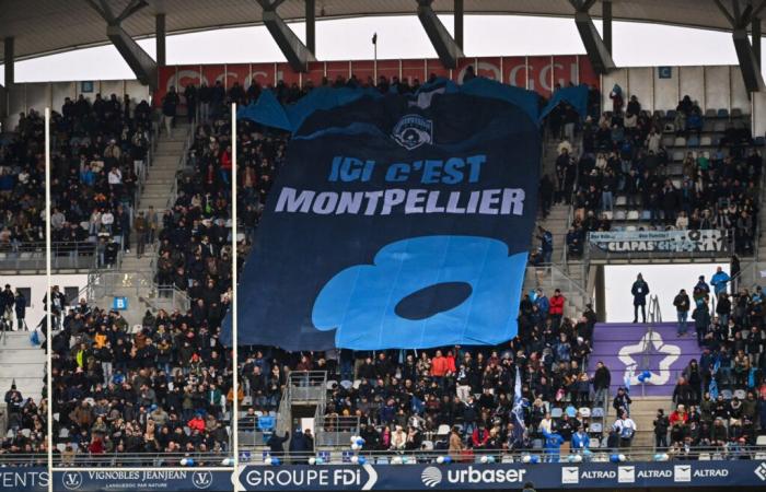 Challenge Cup. Newcastle-Montpellier, Lyon-Cheetahs… on which channels to watch French club matches