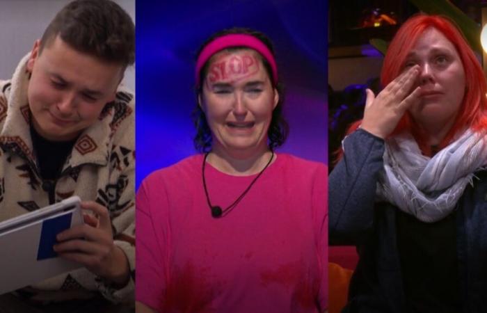 Big Brother Celebrities: Veto, crying fits and mystery button